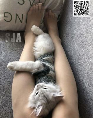 3d动漫女被怪物蹂躏粗暴_高清最新电影在线观看