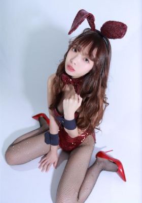 芙蓉帐小说全文免费_BD英语高清完整版播放