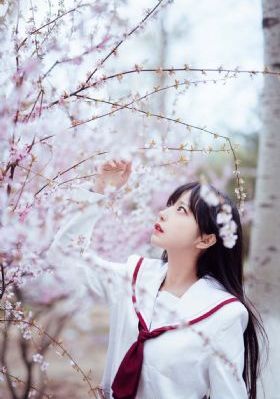 嗳嗳免费视频_1080神马影院在线